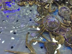 -澜悦港海鲜体验主题餐厅