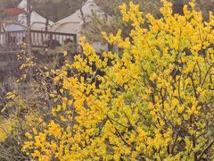 -云峰山自然风景区