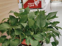 -红鼎豆捞·非遗鲍皇汤火锅(宝丰路店)