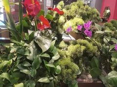 -洞庭家宴·头牌甲鱼(广渠门店)