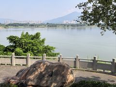-福建鲤鱼洲酒店