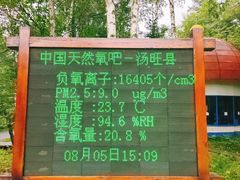 -汤旺河林海奇石景区