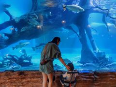 -华夏文旅海洋公园