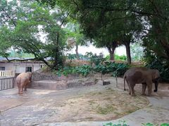-深圳野生动物园