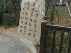 -怪坡茶馆