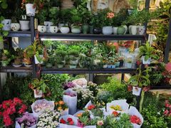 -溪岸路花鸟市场