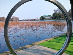 -东湖听涛景区