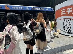 -帕帕拉兹宠物(亚洲旗舰店)