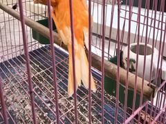 -伊隆斋(什刹海店)