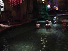 -鞍山岫岩沟汤温泉