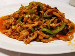 地道鱼香肉丝-眉州东坡(远洋未来广场店)