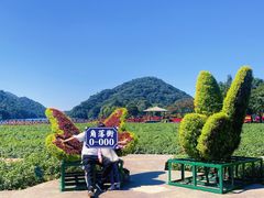 -广州市石门国家森林公园