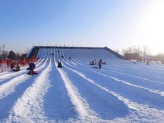 -绿野森林乐园冰雪季