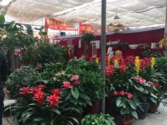 -秦美花卉(天朗·莱茵小城2期店)