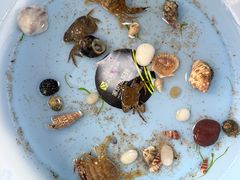 -那香海钻石沙滩浴场