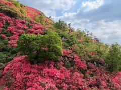 -木兰云雾山