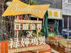 -禄婶鸡煲·打边炉