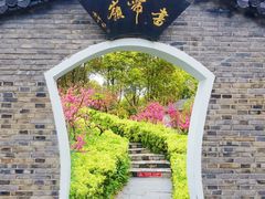 -南汇桃花村