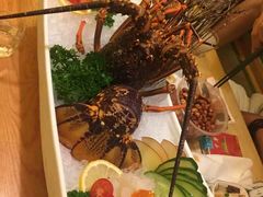 -左舞日本料理