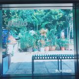 网红摄影打卡圣地[调皮]