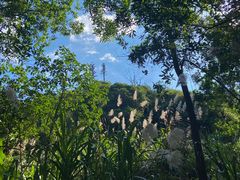 -红花湖景区