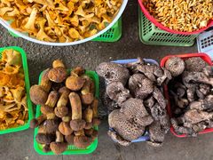 -云南木水花野生菌交易中心