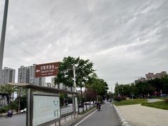 -白鹭湾湿地公园