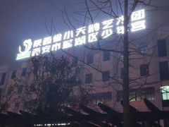 -陕西省小天鹅艺术团