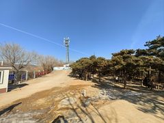 -北京西山国家森林公园