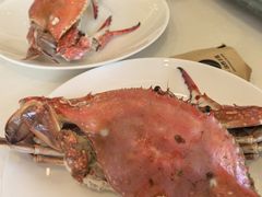 -奕景海鲜酒家· 大连海鲜(星海广场店)