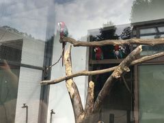 -上方山森林动物世界
