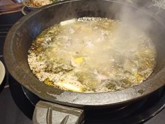 美蛙-石锅苗苗鱼(武汉首店)