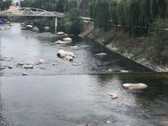 -陕西省红河谷森林公园