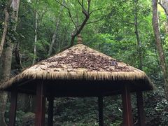 -七仙岭温泉国家森林公园