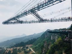 -梦幻奥陶纪景区