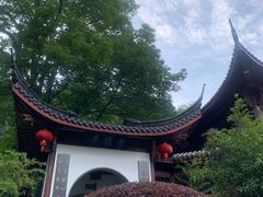-十八棵（老龙井）御茶园(老龙井店)