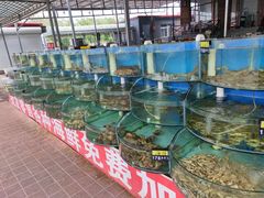 -沿海渔家院海鲜烧烤·东北菜(东戴河店)