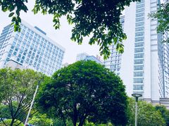 -重庆医科大学附属第一医院(本部)