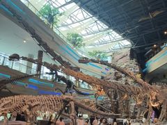 -安徽省地质博物馆