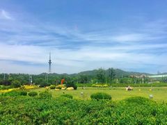-汇泉广场