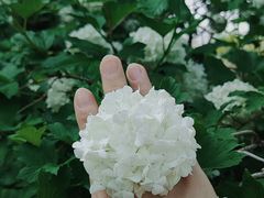 -国家植物园南园