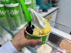-Salud撒露欧洲冻酸奶(蓝色港湾店)