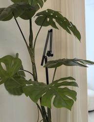 -挚纯baby儿童摄影(庐阳区店)