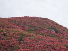 -大围山国家森林公园