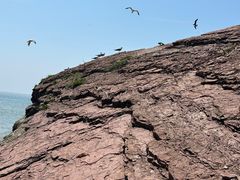 -大连金石滩滨海国家地质公园