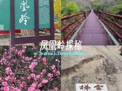 -北京凤凰岭
