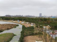 -春花秋色城市公园