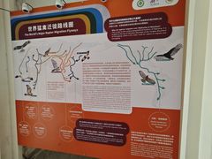 -大金鹰园