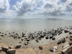 -深圳湾公园(南山区)