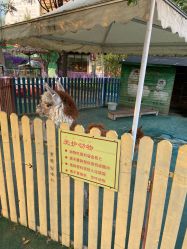 -萌宠亲子动物乐园(槐房万达店)